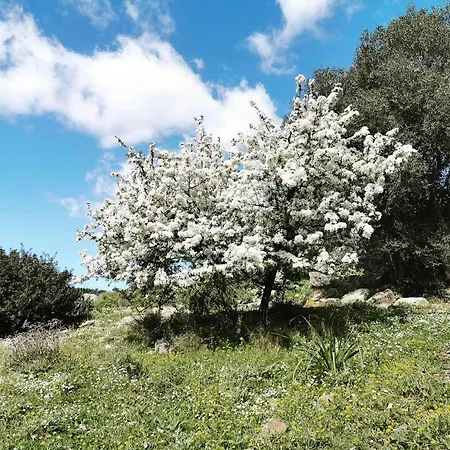 Ca' Drega * Valledoria (Sardinia)