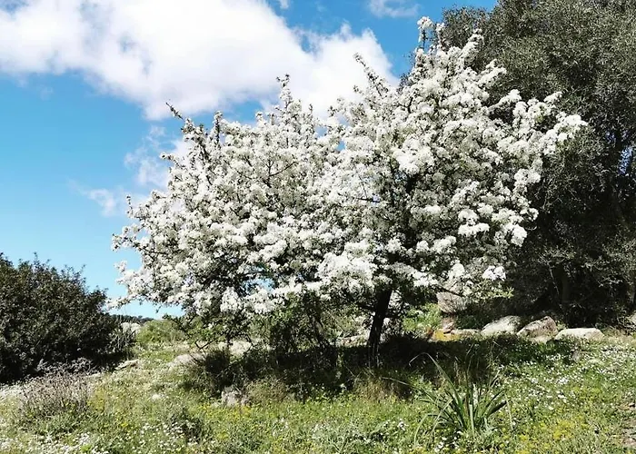 Ca' Drega * Valledoria