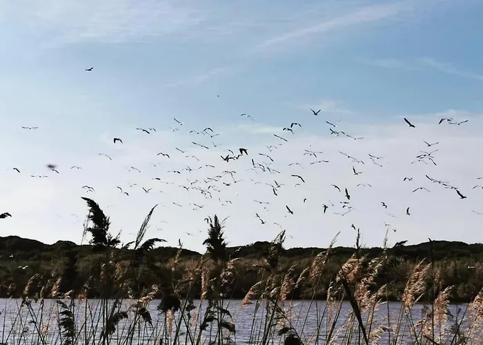 Semesterbostad Ca' Drega